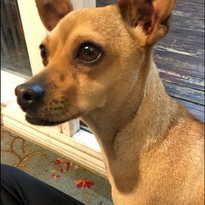 Meet your Posher, Esther